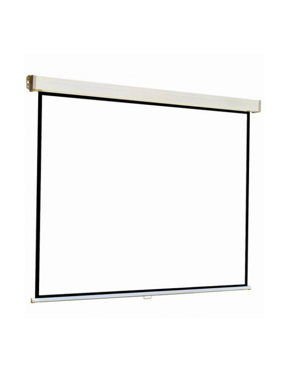 ECRAN DE PROJECTION TELON MURAL